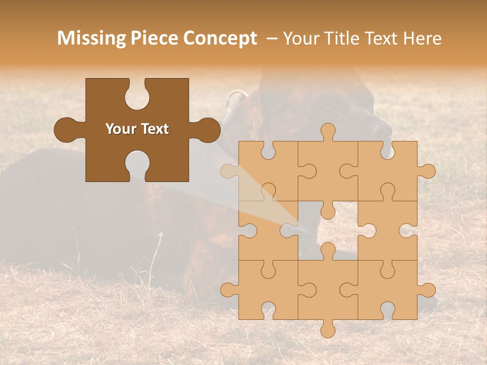 A Large Brown Dog Laying On Top Of A Dry Grass Field PowerPoint Template