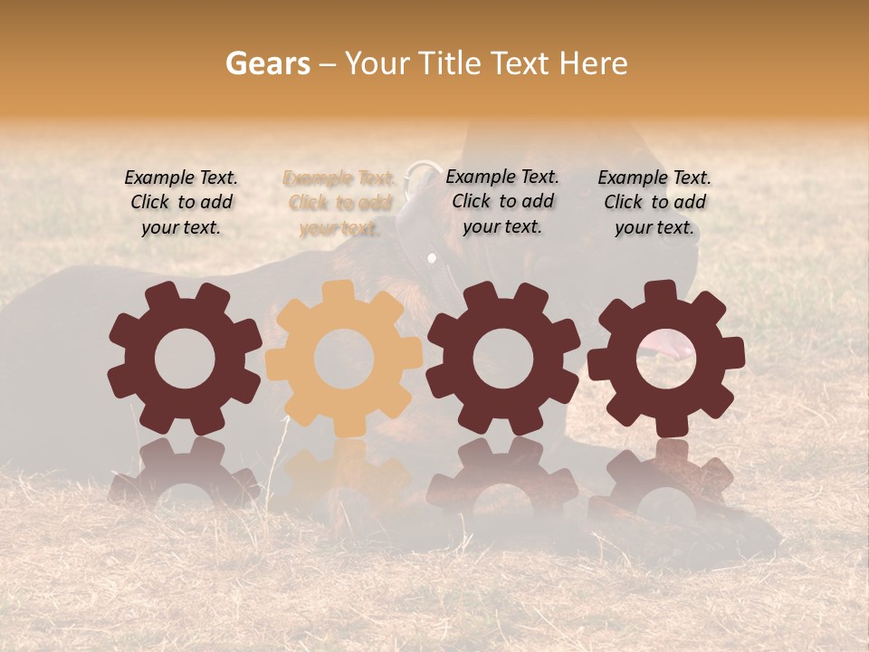 A Large Brown Dog Laying On Top Of A Dry Grass Field PowerPoint Template