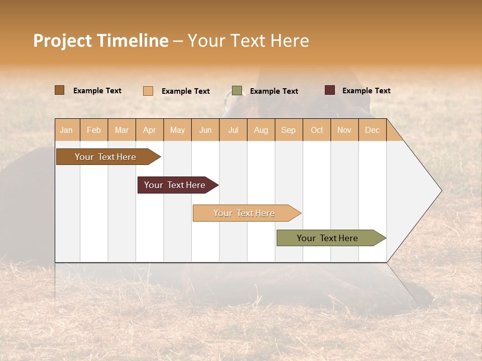 A Large Brown Dog Laying On Top Of A Dry Grass Field PowerPoint Template