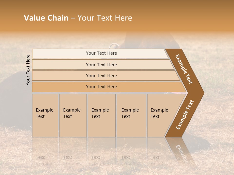 A Large Brown Dog Laying On Top Of A Dry Grass Field PowerPoint Template