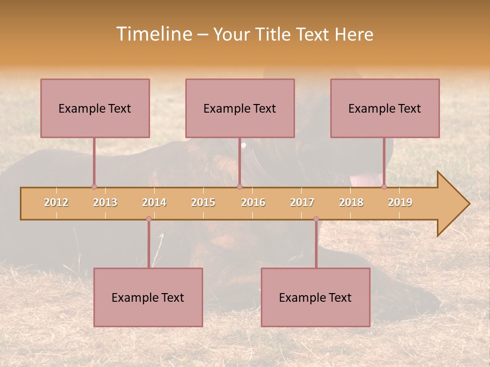 A Large Brown Dog Laying On Top Of A Dry Grass Field PowerPoint Template