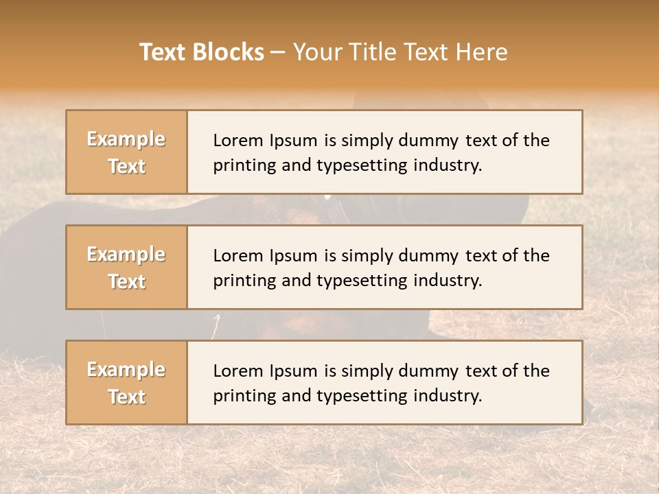A Large Brown Dog Laying On Top Of A Dry Grass Field PowerPoint Template