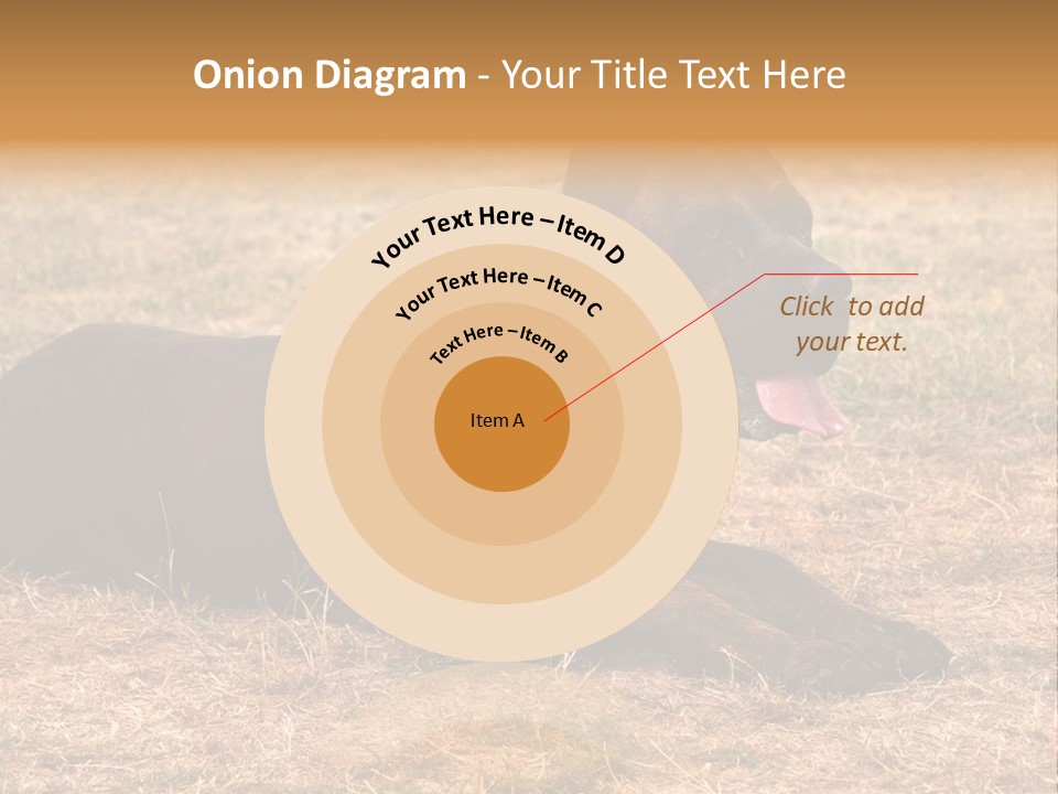 A Large Brown Dog Laying On Top Of A Dry Grass Field PowerPoint Template
