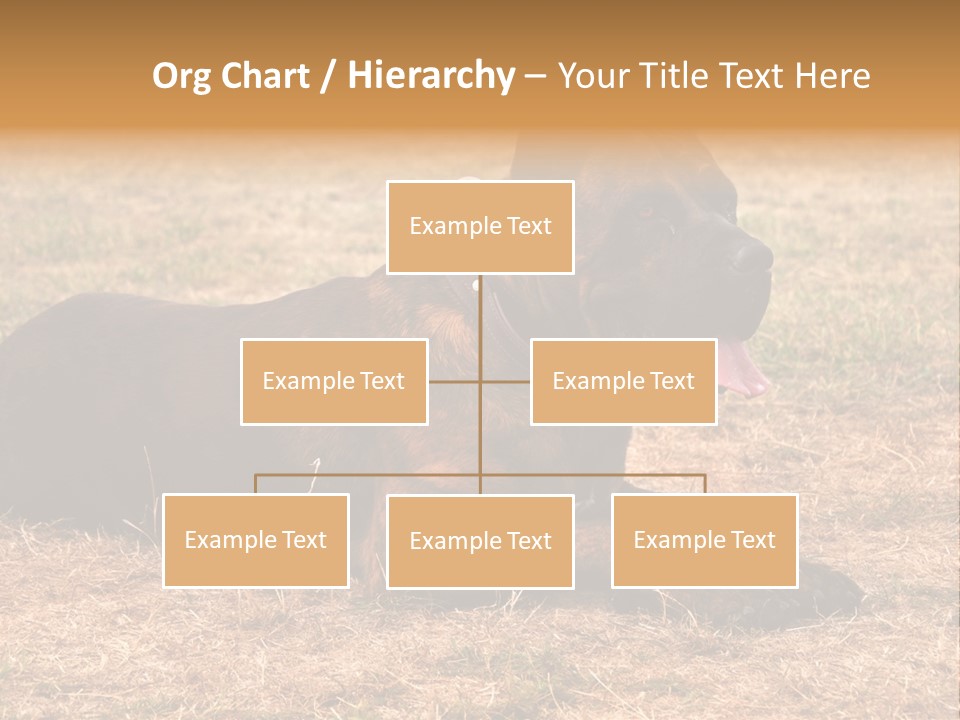 A Large Brown Dog Laying On Top Of A Dry Grass Field PowerPoint Template