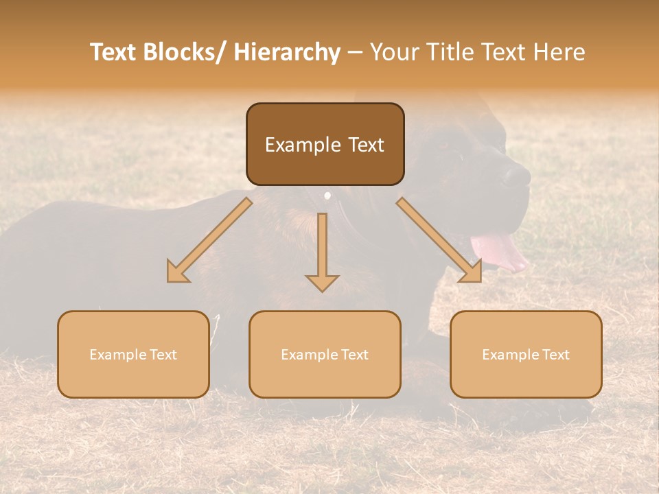 A Large Brown Dog Laying On Top Of A Dry Grass Field PowerPoint Template