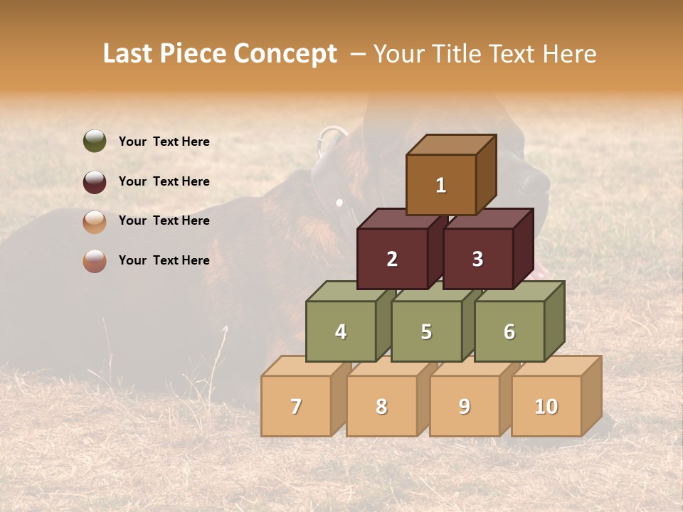 A Large Brown Dog Laying On Top Of A Dry Grass Field PowerPoint Template