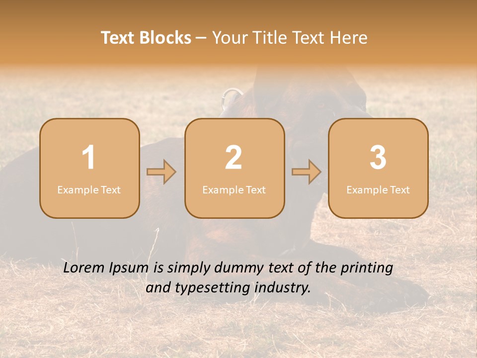 A Large Brown Dog Laying On Top Of A Dry Grass Field PowerPoint Template