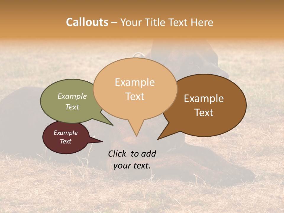 A Large Brown Dog Laying On Top Of A Dry Grass Field PowerPoint Template