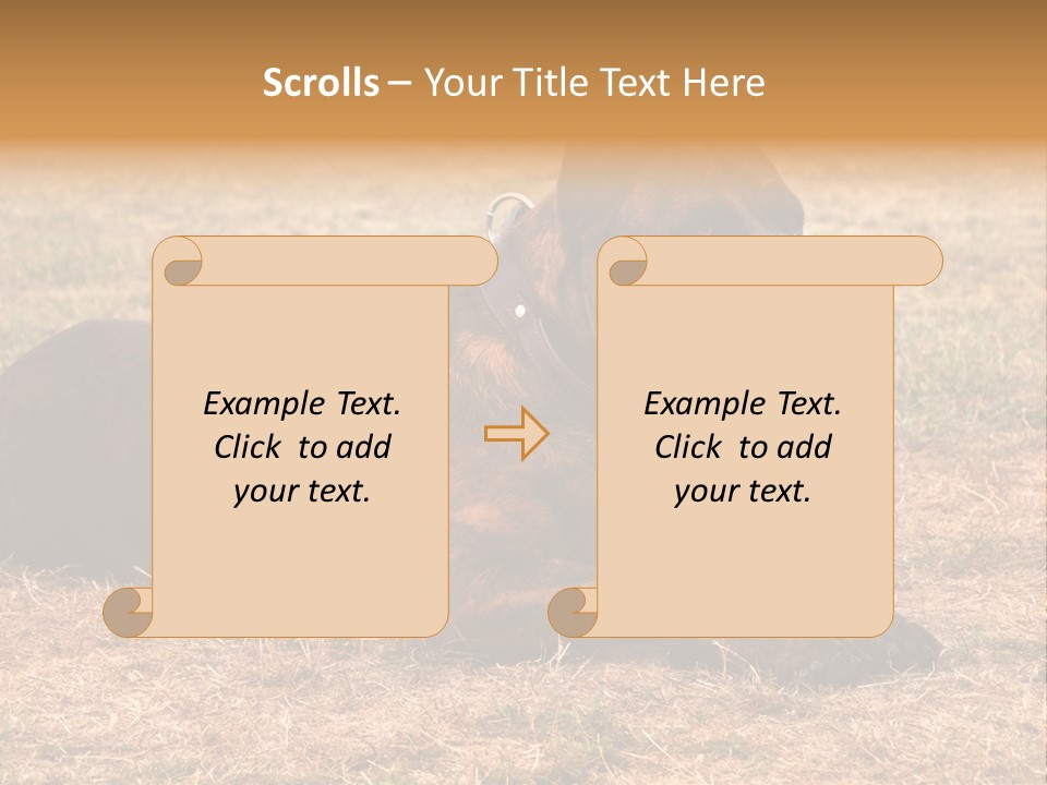 A Large Brown Dog Laying On Top Of A Dry Grass Field PowerPoint Template