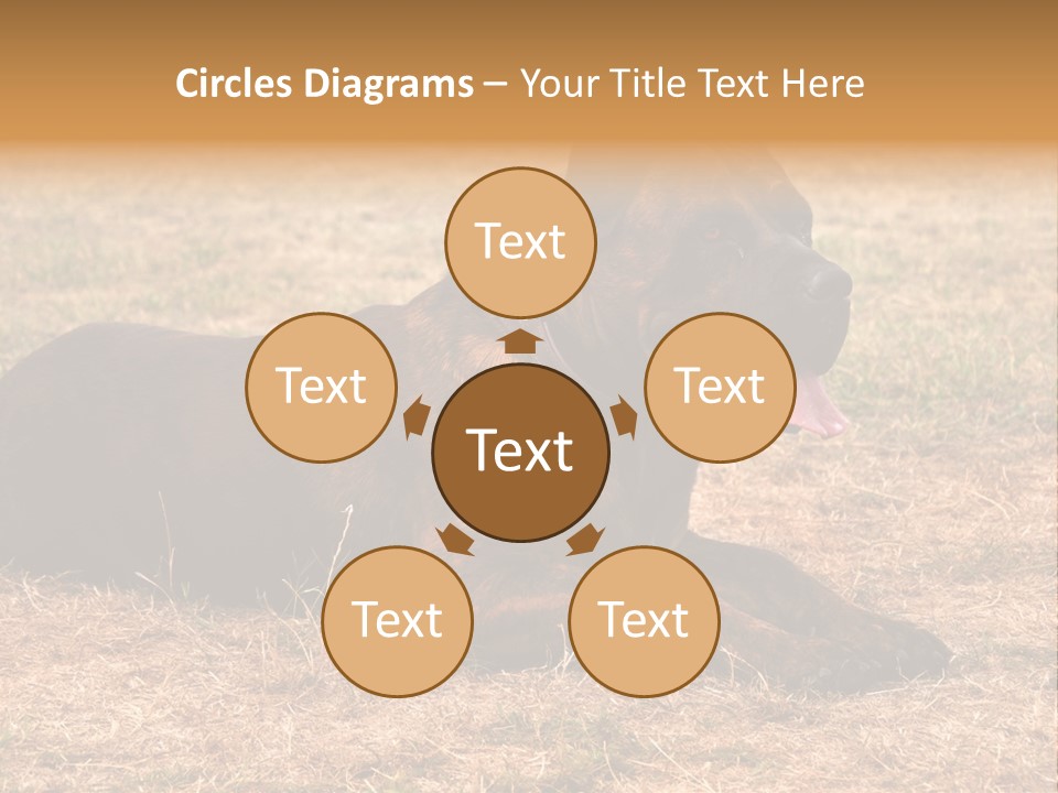 A Large Brown Dog Laying On Top Of A Dry Grass Field PowerPoint Template