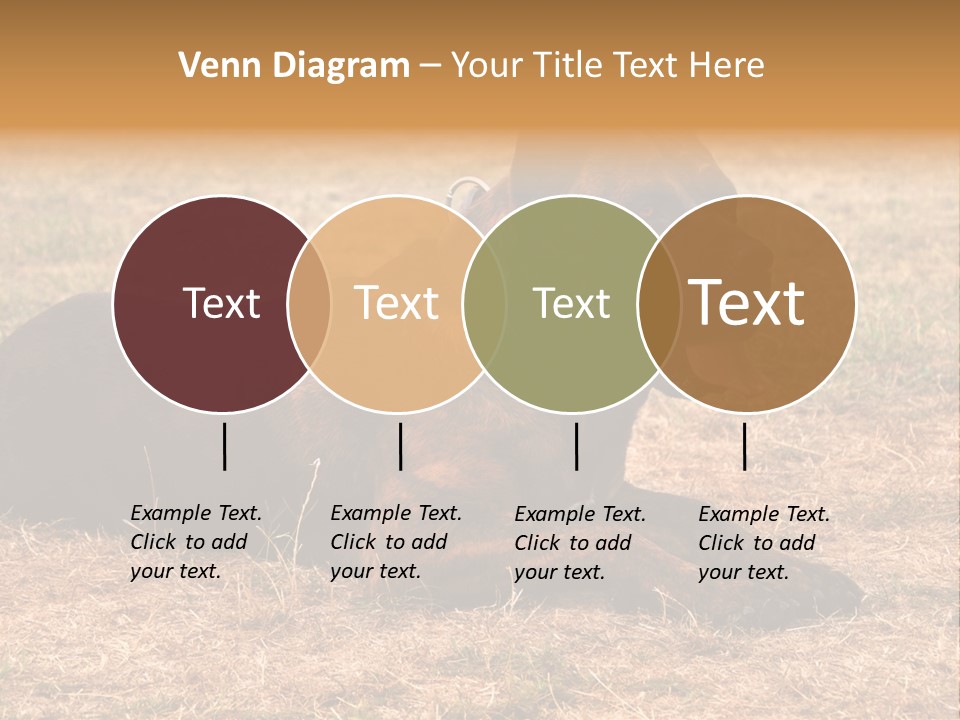 A Large Brown Dog Laying On Top Of A Dry Grass Field PowerPoint Template