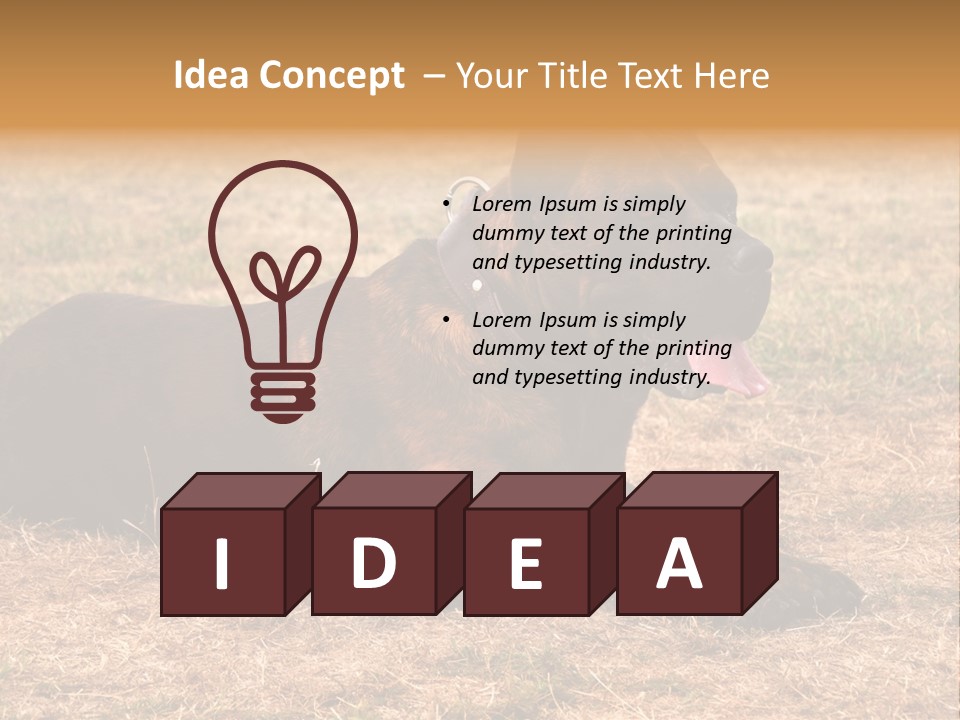 A Large Brown Dog Laying On Top Of A Dry Grass Field PowerPoint Template