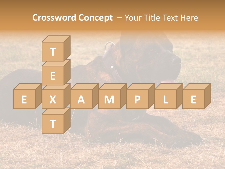 A Large Brown Dog Laying On Top Of A Dry Grass Field PowerPoint Template