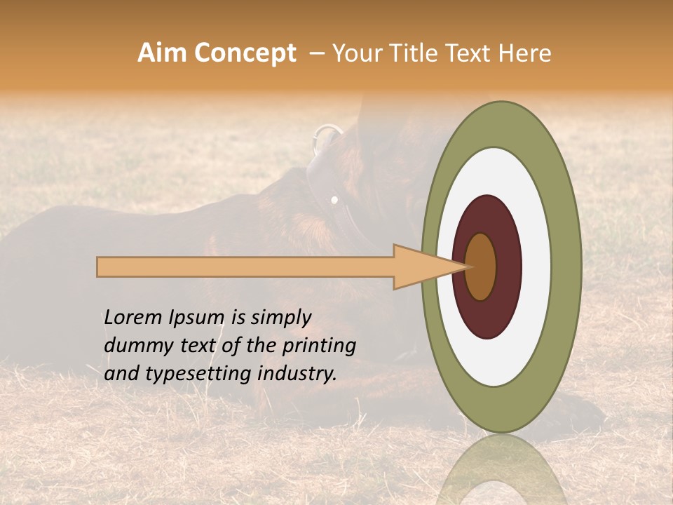 A Large Brown Dog Laying On Top Of A Dry Grass Field PowerPoint Template