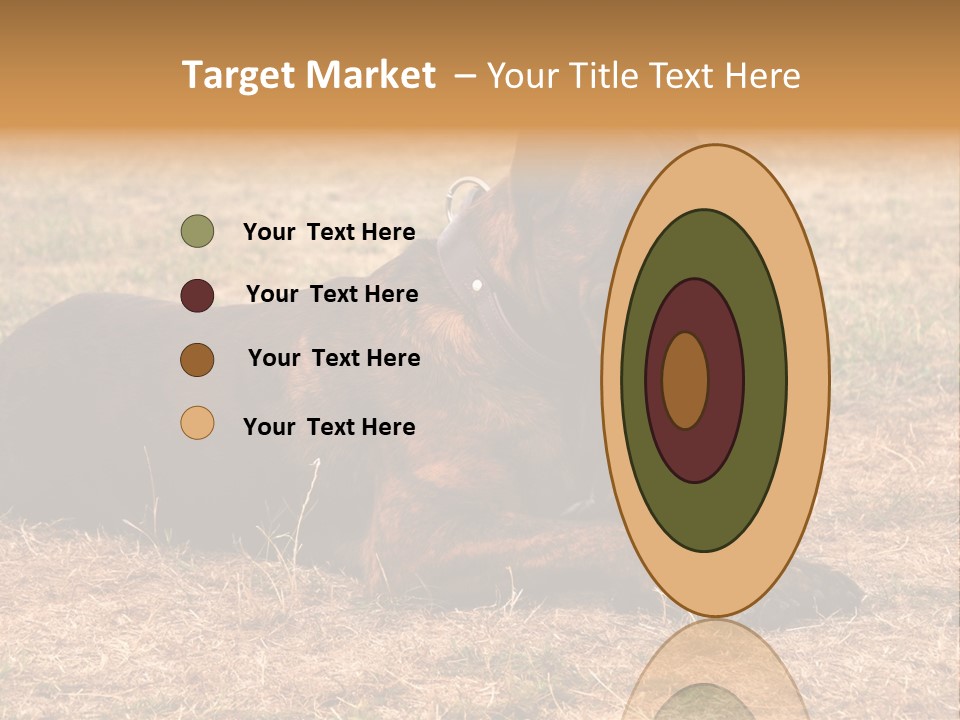 A Large Brown Dog Laying On Top Of A Dry Grass Field PowerPoint Template