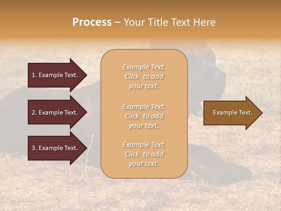 A Large Brown Dog Laying On Top Of A Dry Grass Field PowerPoint Template