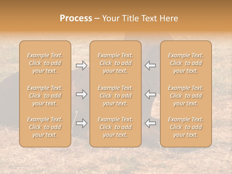 A Large Brown Dog Laying On Top Of A Dry Grass Field PowerPoint Template