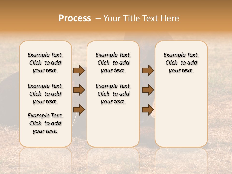 A Large Brown Dog Laying On Top Of A Dry Grass Field PowerPoint Template