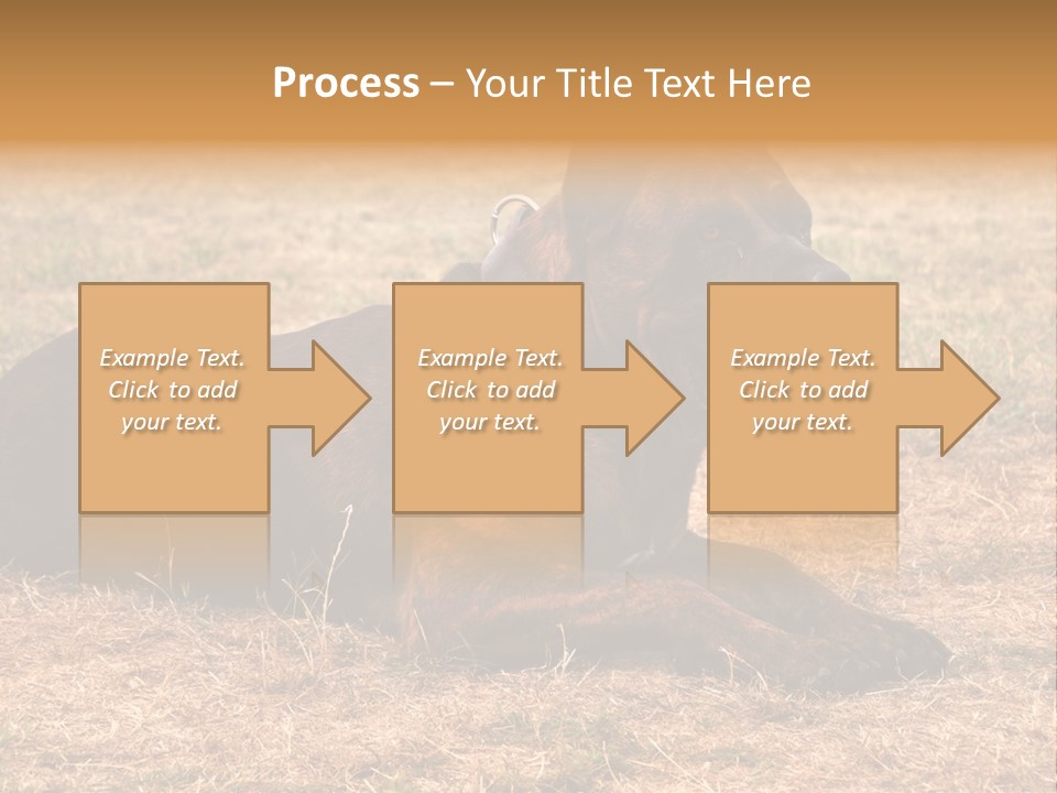 A Large Brown Dog Laying On Top Of A Dry Grass Field PowerPoint Template