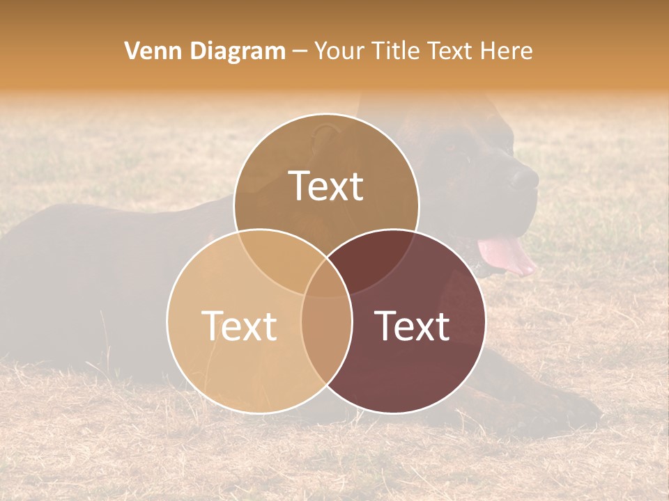 A Large Brown Dog Laying On Top Of A Dry Grass Field PowerPoint Template