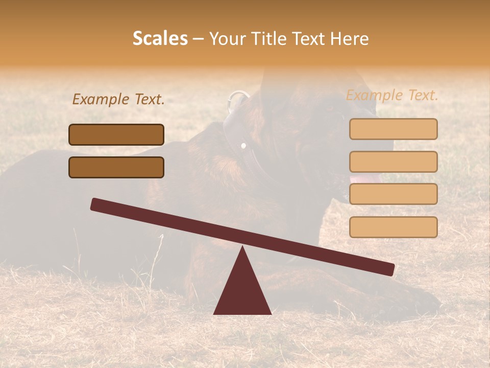 A Large Brown Dog Laying On Top Of A Dry Grass Field PowerPoint Template