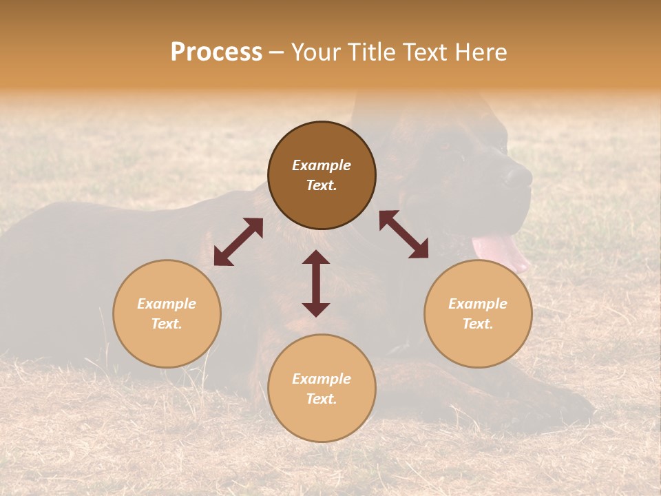 A Large Brown Dog Laying On Top Of A Dry Grass Field PowerPoint Template