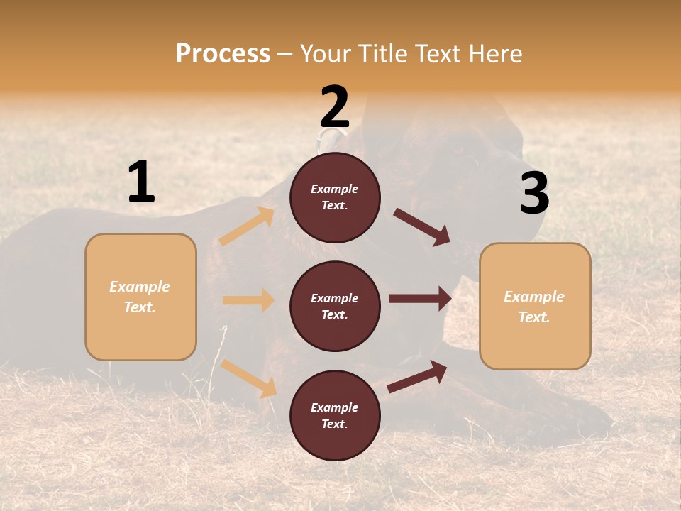 A Large Brown Dog Laying On Top Of A Dry Grass Field PowerPoint Template
