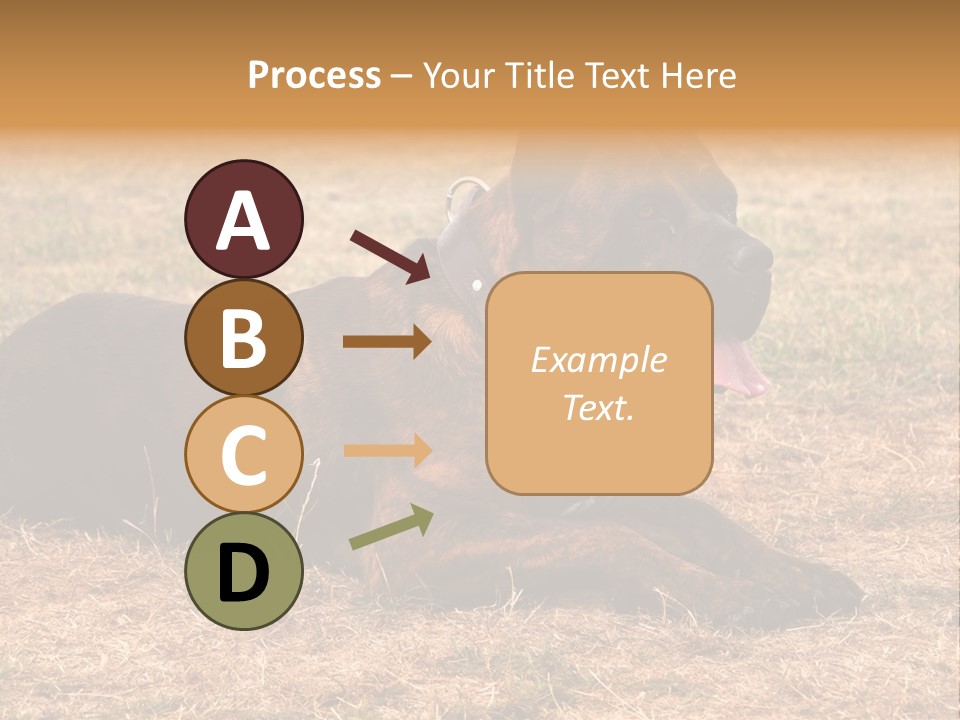 A Large Brown Dog Laying On Top Of A Dry Grass Field PowerPoint Template