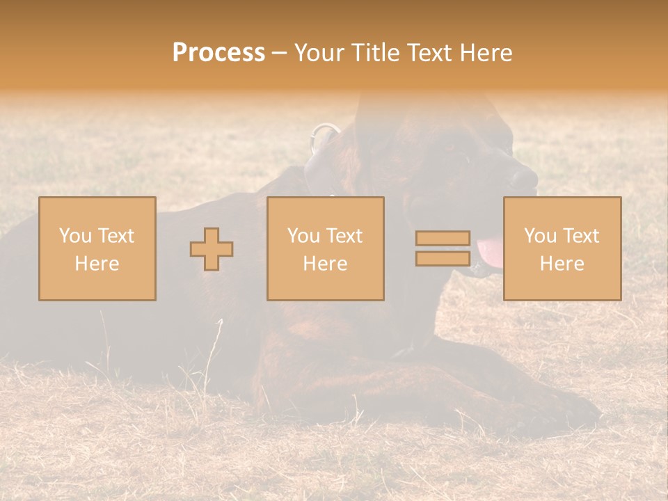 A Large Brown Dog Laying On Top Of A Dry Grass Field PowerPoint Template