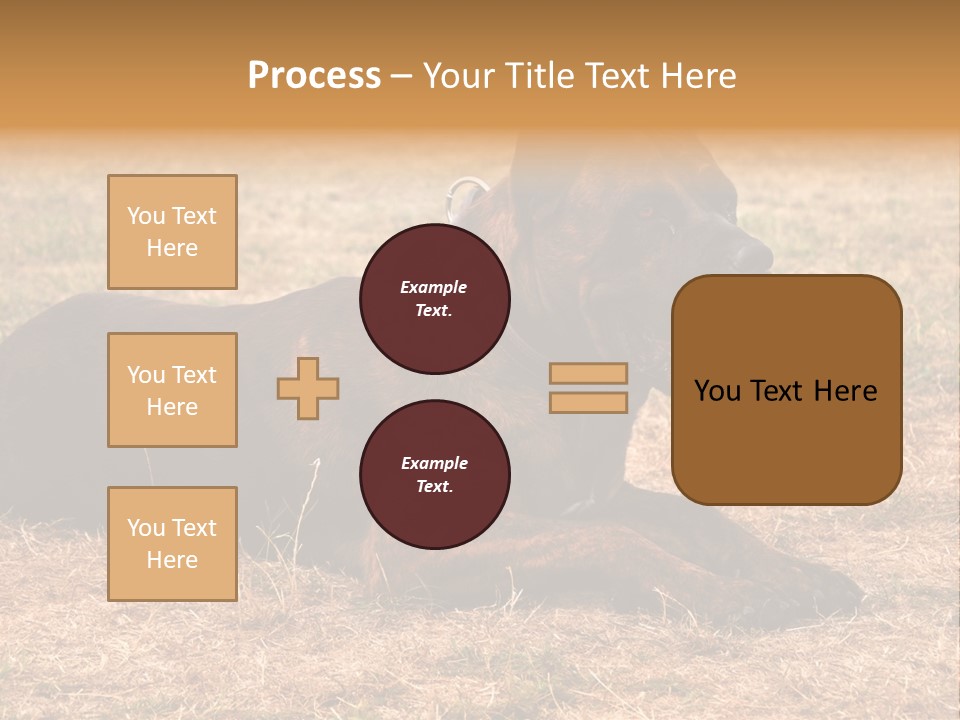 A Large Brown Dog Laying On Top Of A Dry Grass Field PowerPoint Template