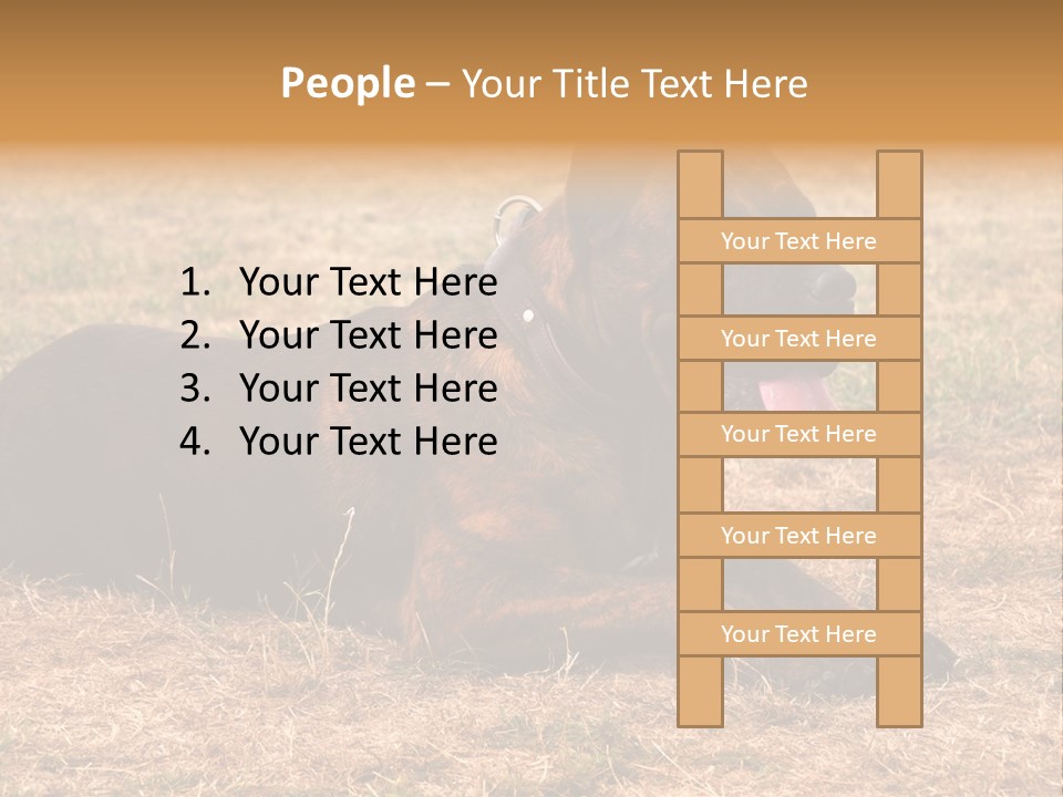A Large Brown Dog Laying On Top Of A Dry Grass Field PowerPoint Template