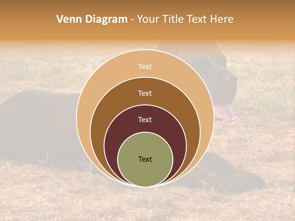 A Large Brown Dog Laying On Top Of A Dry Grass Field PowerPoint Template