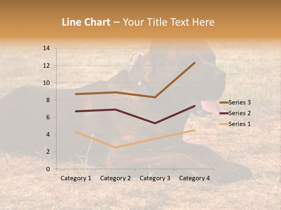 A Large Brown Dog Laying On Top Of A Dry Grass Field PowerPoint Template