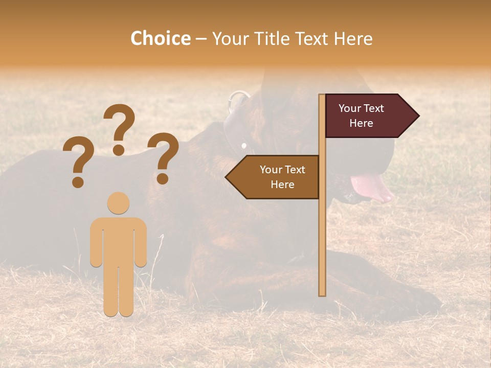 A Large Brown Dog Laying On Top Of A Dry Grass Field PowerPoint Template