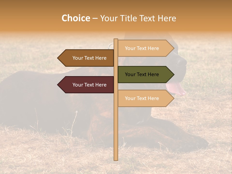 A Large Brown Dog Laying On Top Of A Dry Grass Field PowerPoint Template