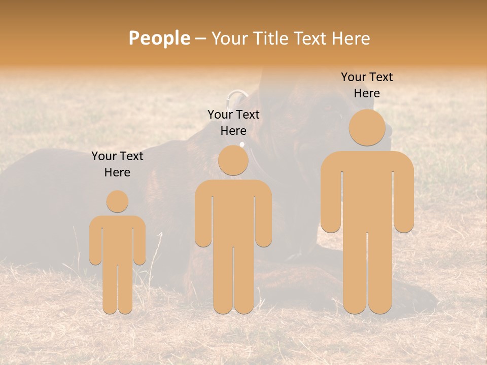 A Large Brown Dog Laying On Top Of A Dry Grass Field PowerPoint Template