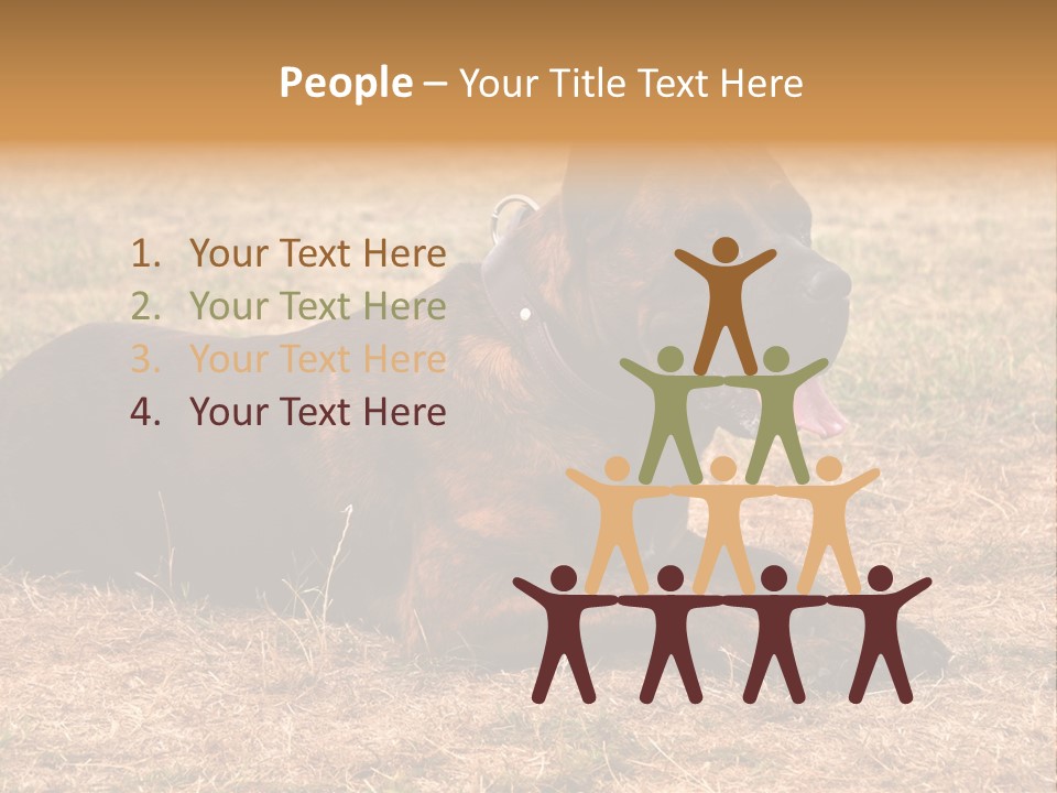 A Large Brown Dog Laying On Top Of A Dry Grass Field PowerPoint Template