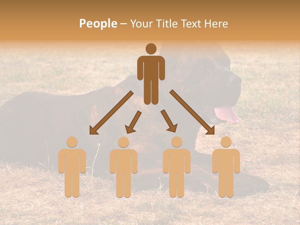A Large Brown Dog Laying On Top Of A Dry Grass Field PowerPoint Template
