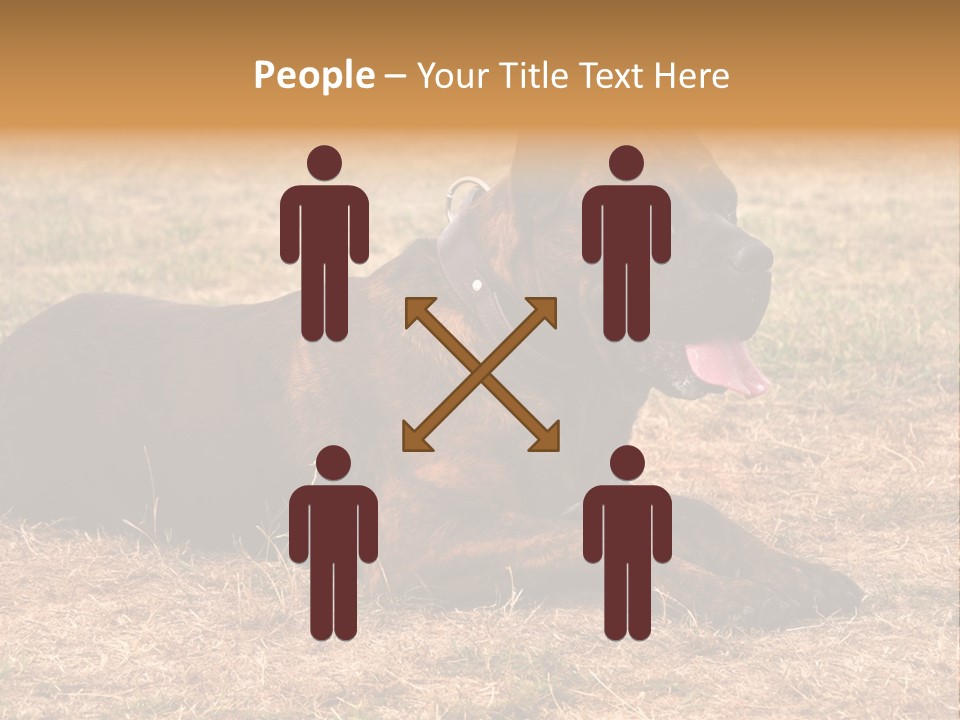 A Large Brown Dog Laying On Top Of A Dry Grass Field PowerPoint Template