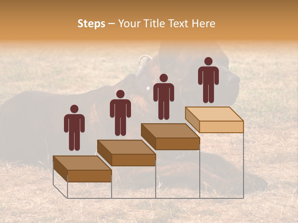 A Large Brown Dog Laying On Top Of A Dry Grass Field PowerPoint Template