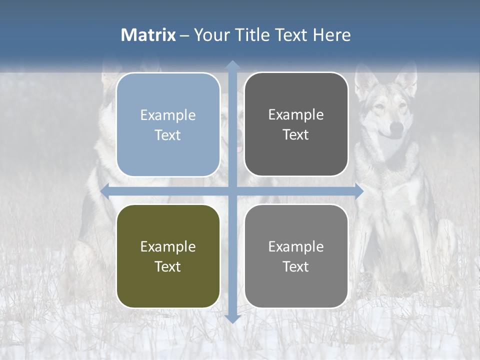 Three Dogs Are Sitting In A Snowy Field PowerPoint Template