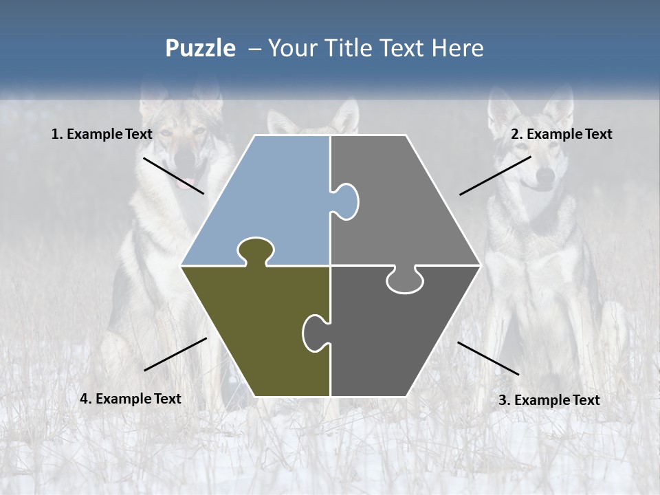 Three Dogs Are Sitting In A Snowy Field PowerPoint Template