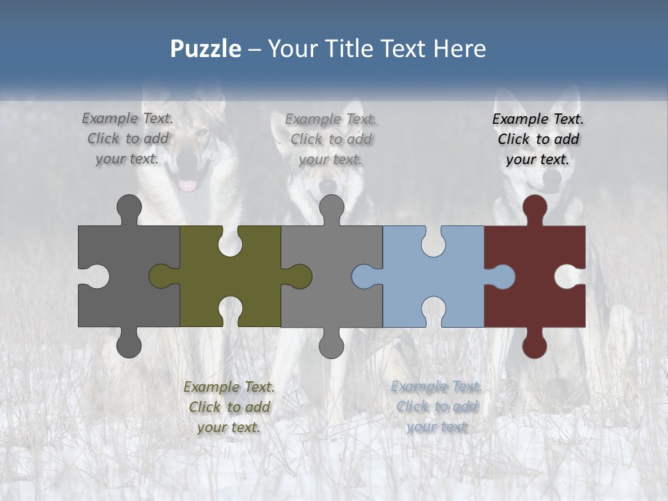 Three Dogs Are Sitting In A Snowy Field PowerPoint Template