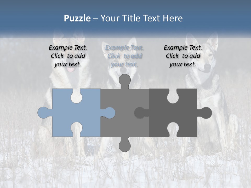 Three Dogs Are Sitting In A Snowy Field PowerPoint Template