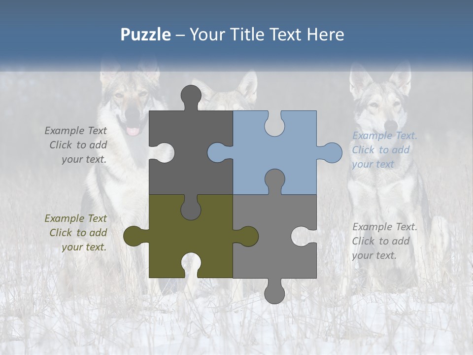 Three Dogs Are Sitting In A Snowy Field PowerPoint Template