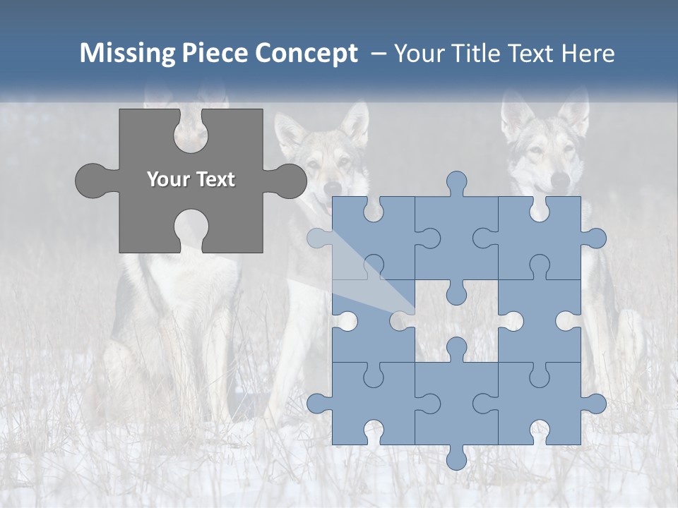 Three Dogs Are Sitting In A Snowy Field PowerPoint Template