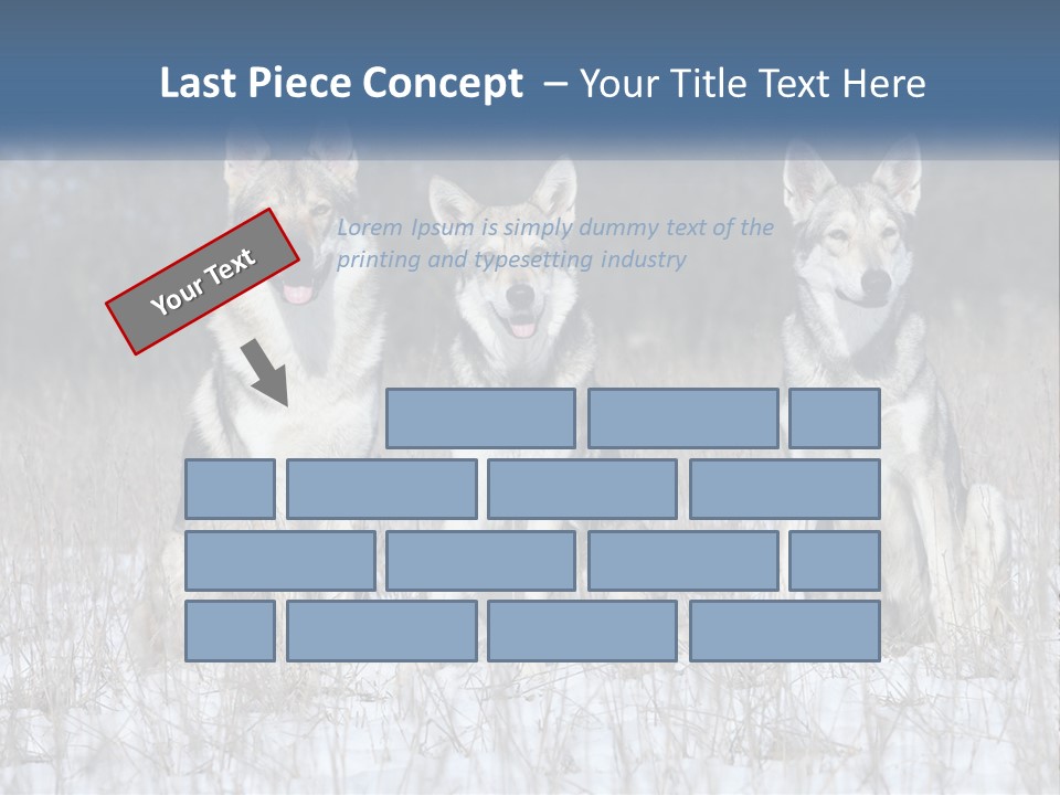 Three Dogs Are Sitting In A Snowy Field PowerPoint Template