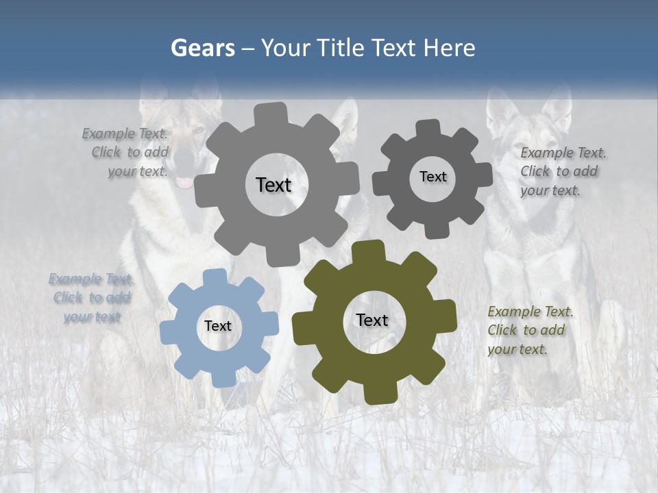 Three Dogs Are Sitting In A Snowy Field PowerPoint Template