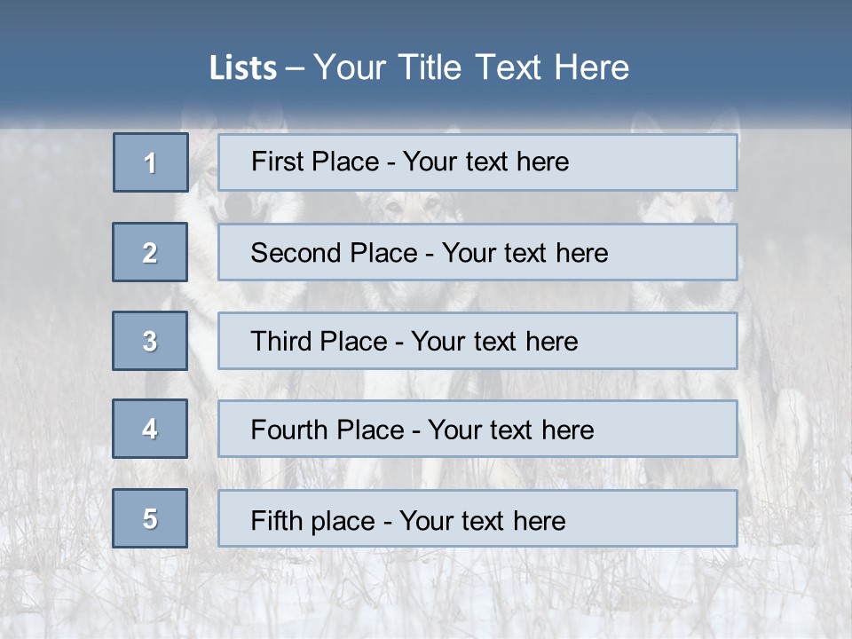 Three Dogs Are Sitting In A Snowy Field PowerPoint Template