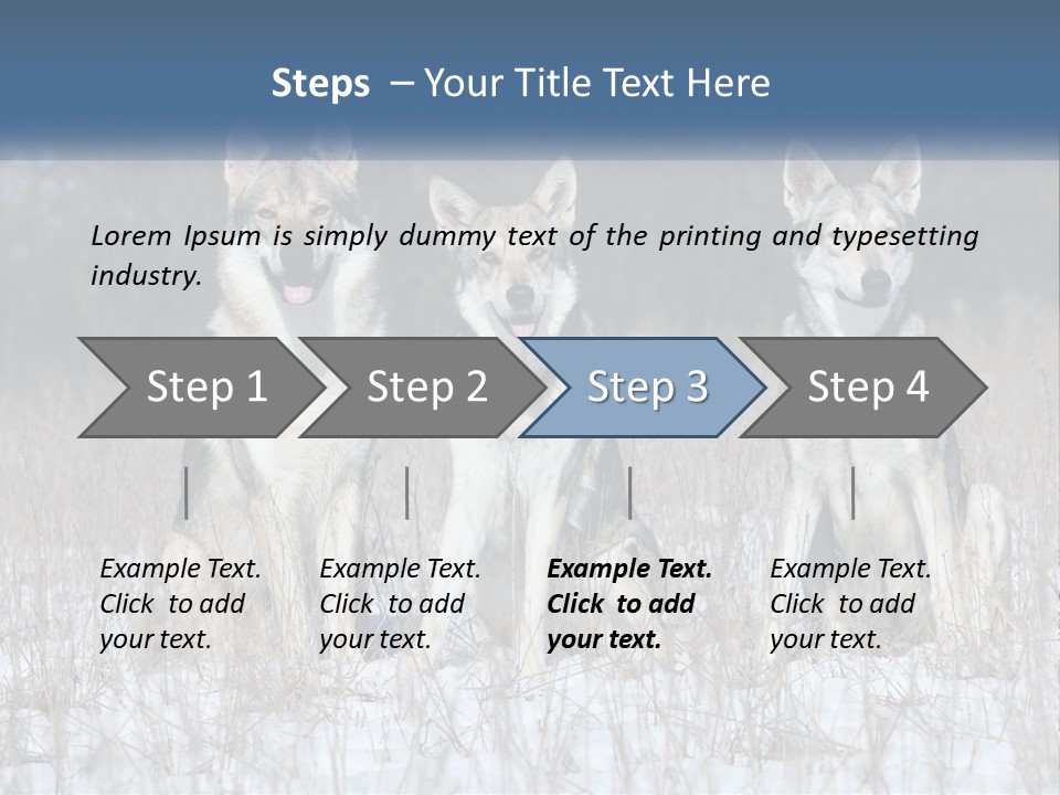Three Dogs Are Sitting In A Snowy Field PowerPoint Template